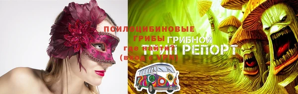 дживик Зеленодольск
