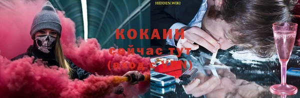 спиды Зеленокумск