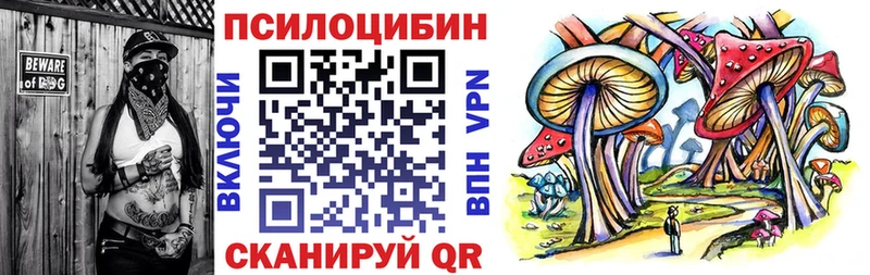 Купить Грайворон Галлюциногенные грибы MAGIC MUSHROOMS