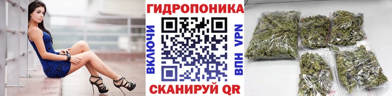 Бошки марихуана MAZAR  Купить где  Грайворон 